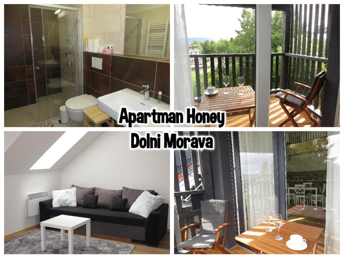 Apartman Honey โดลนี โมราวา ภายนอก รูปภาพ